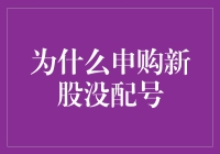 申购新股未获配号：策略与反思