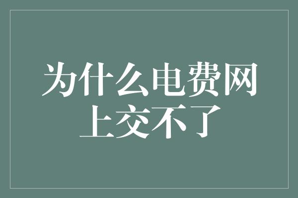 为什么电费网上交不了