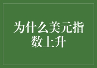 美元指数上升背后的经济逻辑与驱动因素探讨