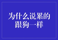 为什么说累的跟狗一样？原来是被人类的生产力逼的！