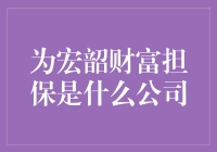 宏韶财富担保：引领中国担保行业的未来