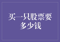 买入一只股票的钱：不仅是金钱的门槛，更是知识与耐心的挑战