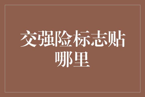 交强险标志贴哪里