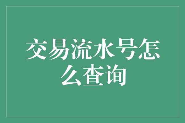 交易流水号怎么查询