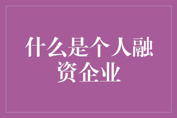 什么是个人融资企业