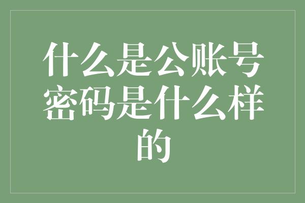 什么是公账号密码是什么样的