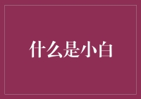 小白：人类进化的新阶段？还是代码界的业余高手？