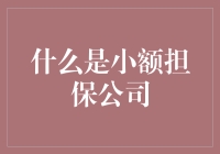 小额担保公司：小额金融服务的前沿力量