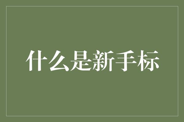 什么是新手标