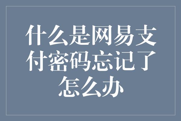 什么是网易支付密码忘记了怎么办