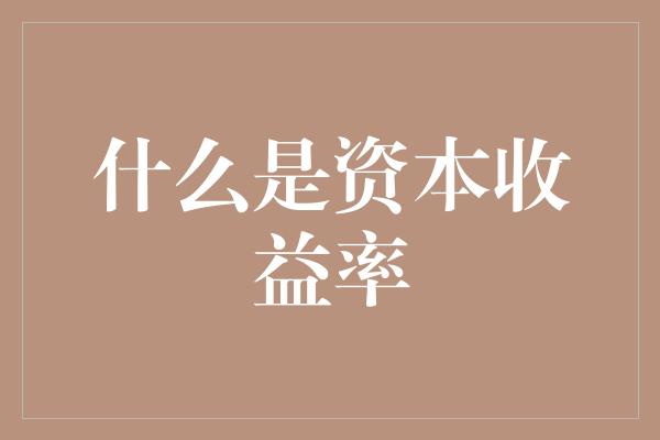 什么是资本收益率