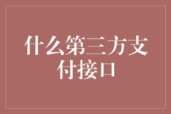 什么第三方支付接口