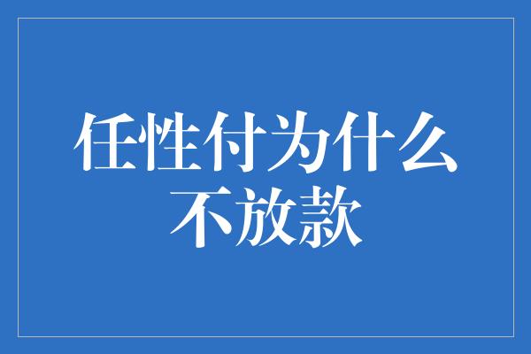 任性付为什么不放款