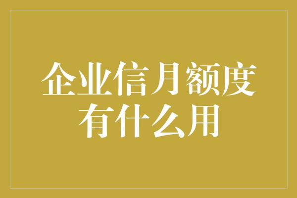 企业信月额度有什么用