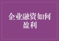 企业融资与盈利：一场精彩的金融交响曲