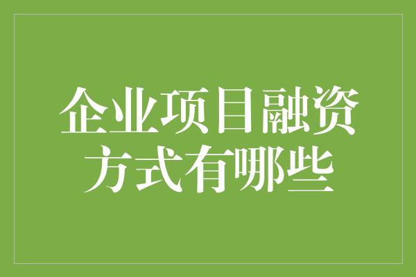 企业项目融资方式有哪些