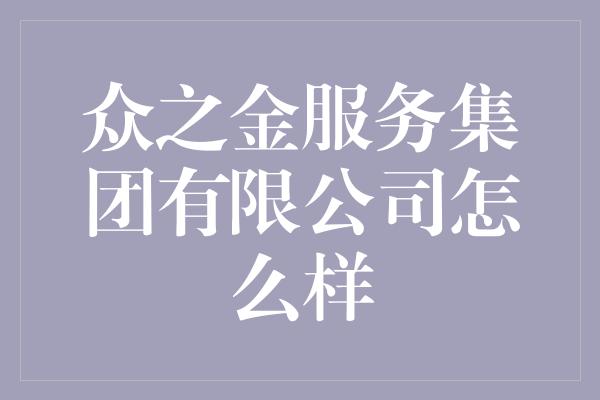 众之金服务集团有限公司怎么样