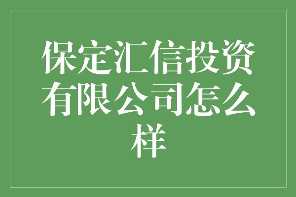 保定汇信投资有限公司怎么样