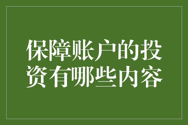 保障账户的投资有哪些内容