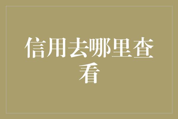 信用去哪里查看