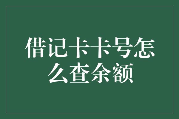 借记卡卡号怎么查余额