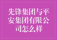 先锋集团与平安集团有限公司的多元较量与协同共生