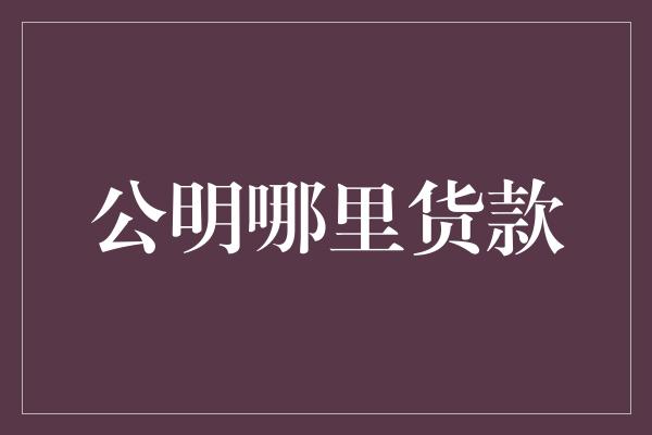 公明哪里货款