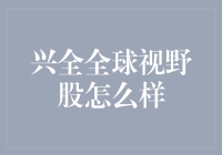 兴全全球视野股：深度解析及其投资价值探究