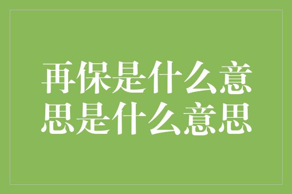 再保是什么意思是什么意思