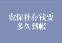 农保社存钱的奥秘：即时到账还是等待？