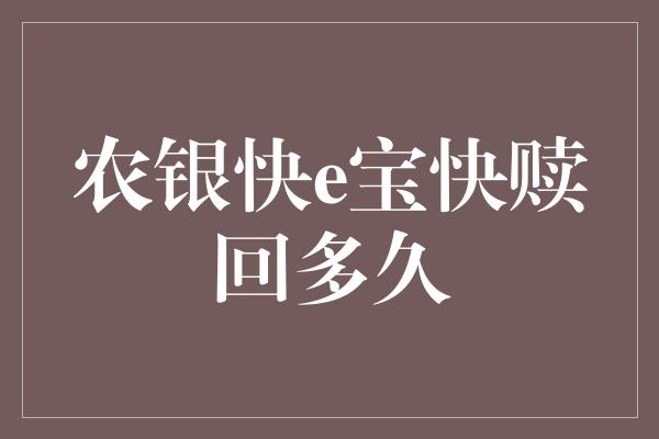 农银快e宝快赎回多久