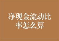 详尽解析：如何精准计算净现金流动比率——企业财务健康度的量化指标