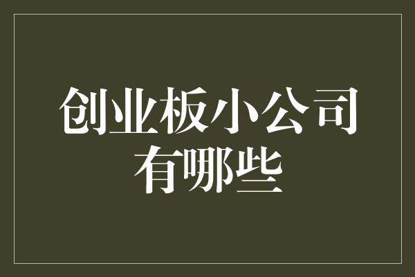 创业板小公司有哪些