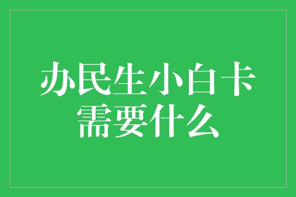 办民生小白卡需要什么