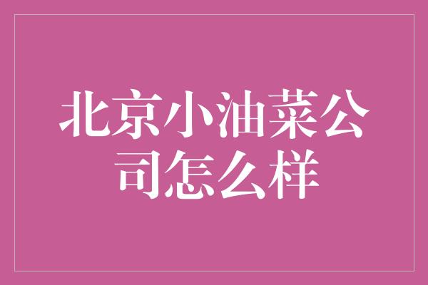 北京小油菜公司怎么样