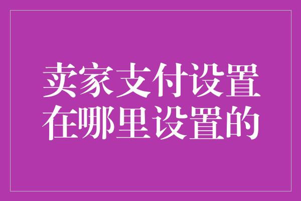 卖家支付设置在哪里设置的