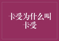 从卡受现象看网络语言的创造力