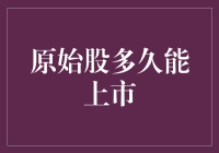 原始股的上市之旅：从梦想起飞到股民泪奔的奇幻旅程