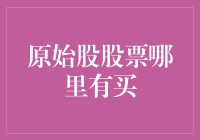 原始股投资的门径与风险考量：深度解析与策略建议