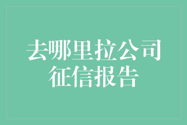 去哪里拉公司征信报告