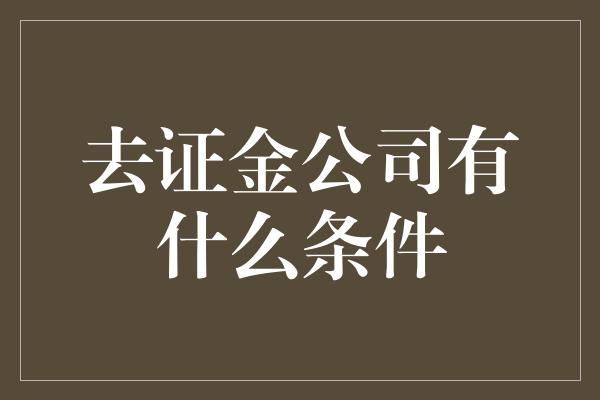 去证金公司有什么条件