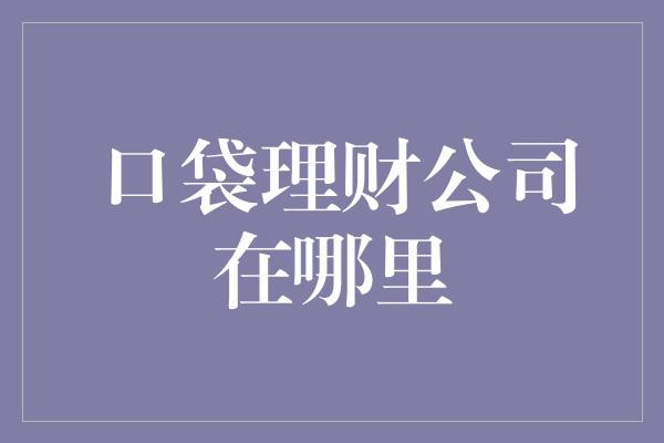 口袋理财公司在哪里