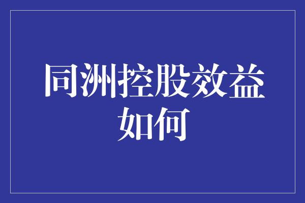 同洲控股效益如何