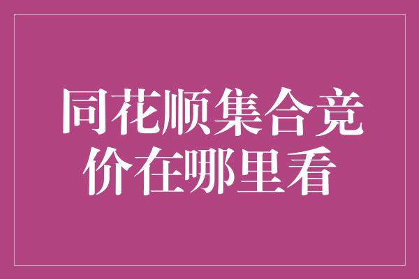 同花顺集合竞价在哪里看