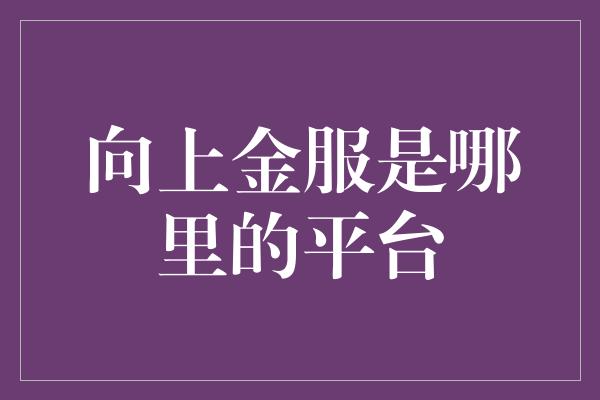 向上金服是哪里的平台