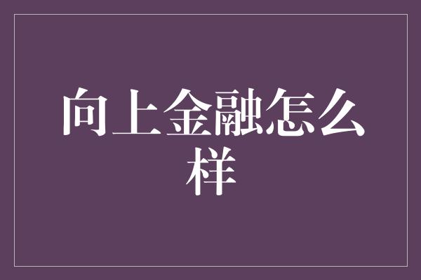 向上金融怎么样