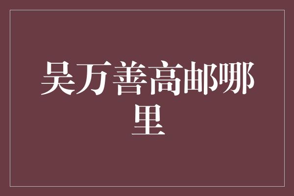 吴万善高邮哪里