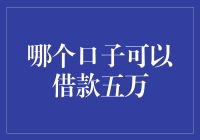 多种渠道可选择：借款五万元的专业分析