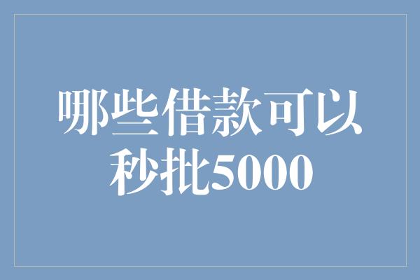 哪些借款可以秒批5000