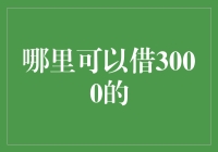 哪里可以借3000元：专业的借款平台与金融服务